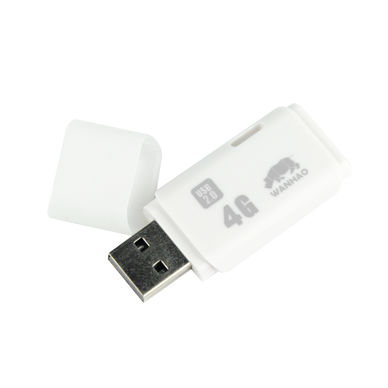 4G flash disk for D8 CGR Printer