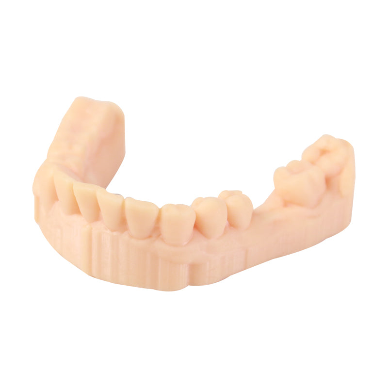 3D Printer Resin, Dental Model, Skin color