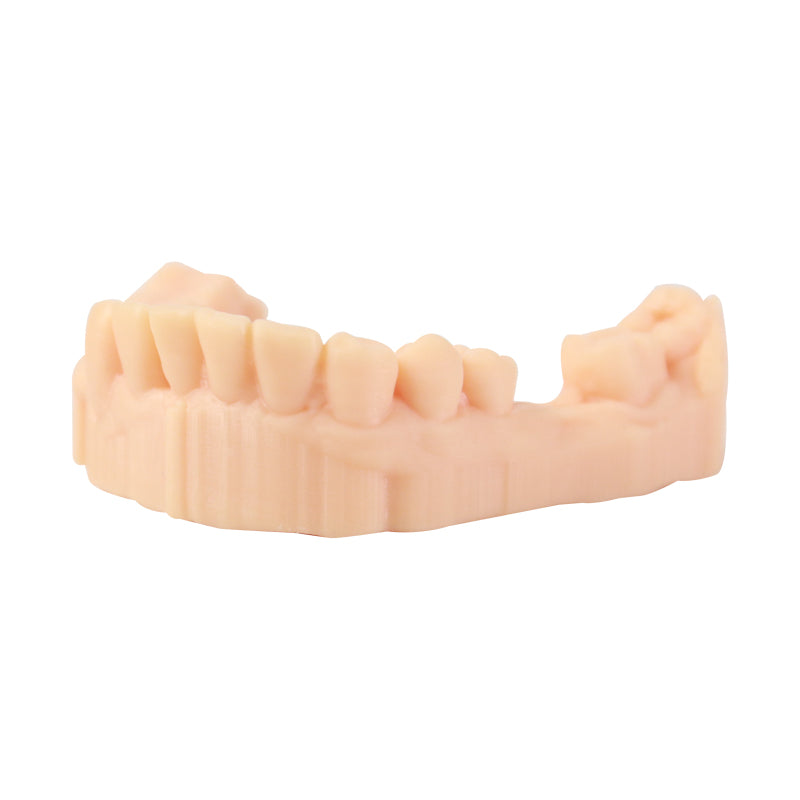 3D Printer Resin, Dental Model, Skin color