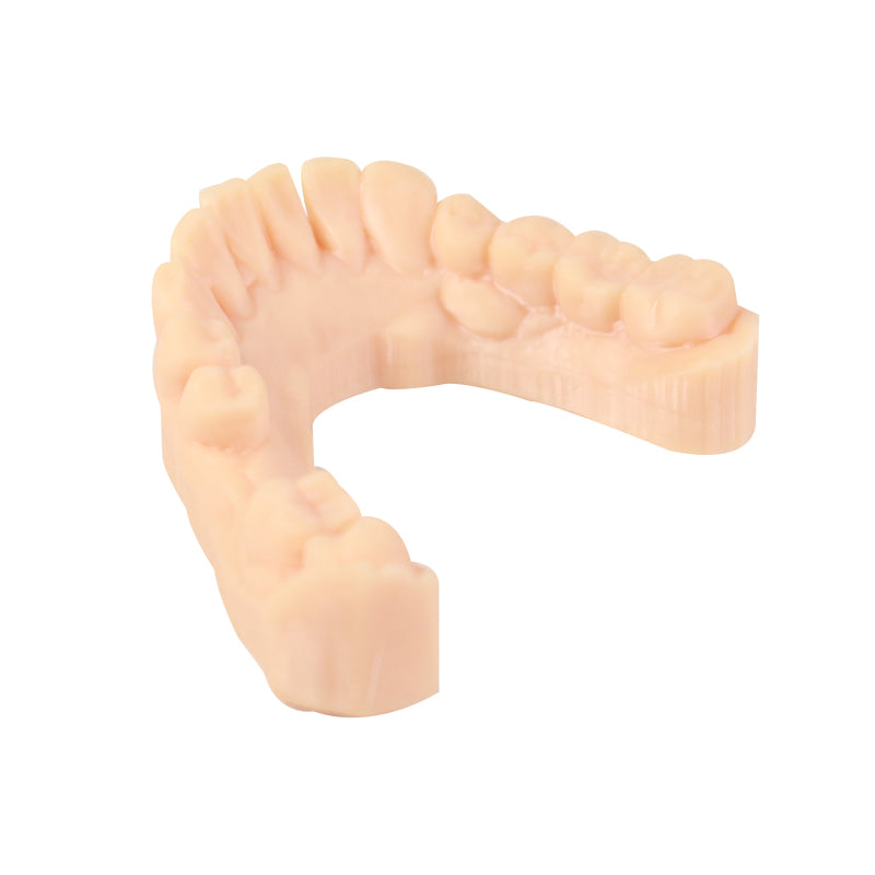 3D Printer Resin, Dental Model, Skin color