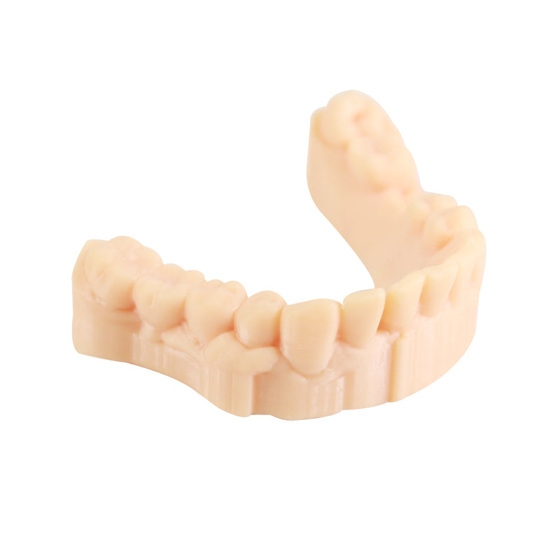 3D Printer Resin, Dental Model, Skin color