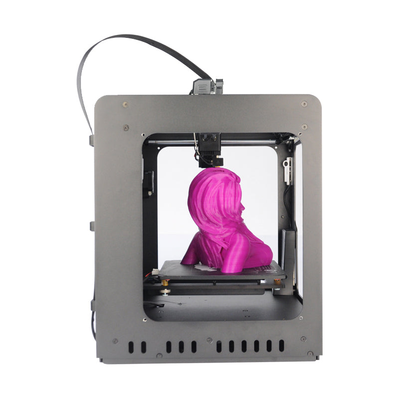 WANHAO GR2 GADOSO REVOLUTION 2 Excellent resolution FDM 3D Printer