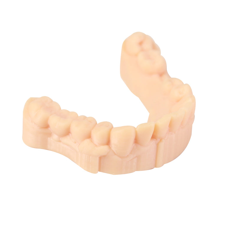 3D Printer Resin, Dental Model, Skin color – WANHAO